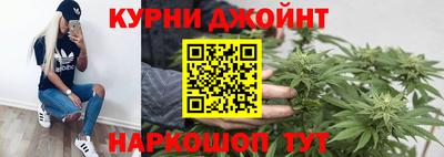 сатива Можайск